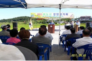 2011년 벼농사 종합평가회 개최