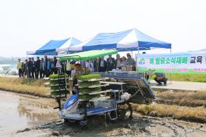 청양군, 벼 밀묘소식재배 이앙 연시회 개최