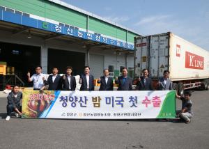 2017년산 ‘칠갑산 알밤’ 미국 수출 개시, 20톤 선적