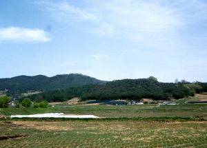 두릉산성(豆陵山城)