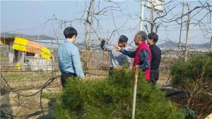 과수 화상병 예방방제 총력