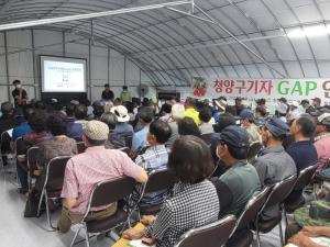 명품 청양 구기자 안정생산을 위한 GAP 인증 교육 실시