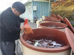 농업기술센터 작물환경팀청양군농업기술센터“볍씨 최아은행”운영