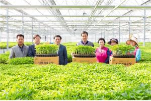 김돈곤 청양군수! 다목적육묘장 방문 고추육묘 상황점검