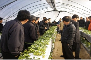 청양군농촌지도자 선진영농현장 견학