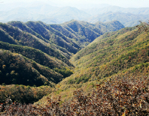 칠갑산 오색으로 곱게 단장, 도민체전 관광객 기다려