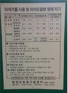 벼 이삭거름과 병해충방제 적기에 실천합시다!