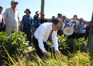 고품질 청양 쌀 경쟁력 확보 위한 벼농사 평가회 개최