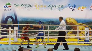 청양군, 제48회 전국복싱 우승권대회 열어