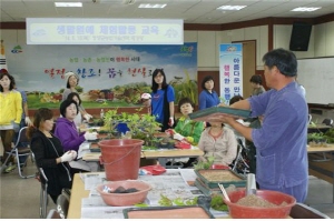 들꽃연구회 생활원예 체험 교육