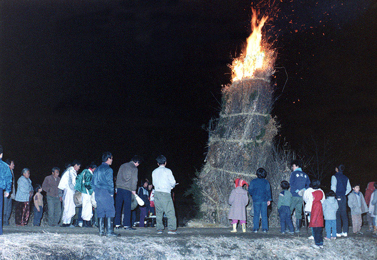 청양 정산동화제(靑陽 定山洞火祭)