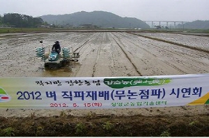벼 직파재배로 생산비 절감