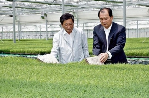 벼 예비 공정육묘 2만상자 공급