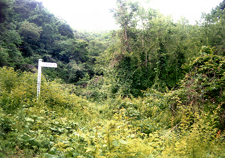 청양 도림사지(靑陽 道林寺址)