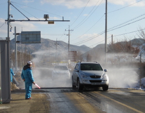청양, 휴일 잊고 구제역 방역 안간힘
