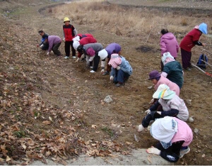 청양군 정부합동평가 우수군 선정