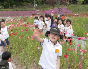 ‘청양 시체꽃은 지고, 꽃양귀비가 뜬다’