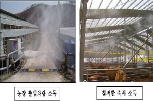 구제역 철저히 차단방역합시다.