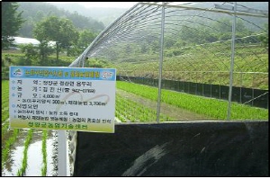 논미꾸리양식사업 추진