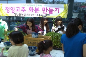 청신여자중학교 4-H회 청양고추 화분나누기 행사