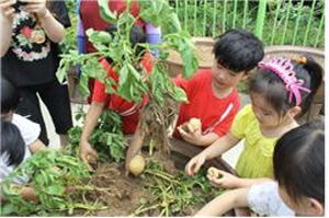 - 어린이청기팜(靑氣farm)2차 영농체험 -