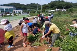이색감자 수확 체험 및 시식회 가져