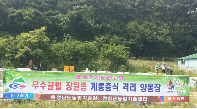 청양군 ‘장원벌’ 계통증식 성공