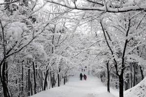 겨울산행의 정수 칠갑산을 가다