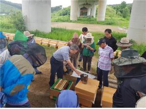 전문 양봉인이 되기 위한 한걸음 한걸음