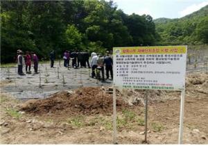 참죽나무 재배단지 평가회