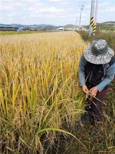 청양군, 전국민의 먹거리를 책임진다