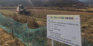 청양군4-H연합회 청소년 돕는 ‘사랑의 메주콩’ 수확