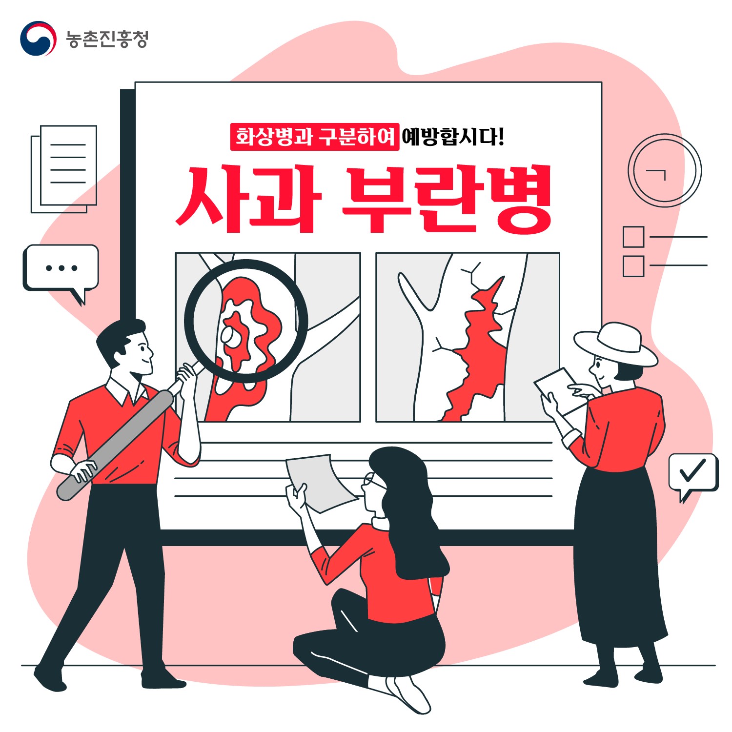 화상병과 구분하여 예방합시다! 사과 부란병