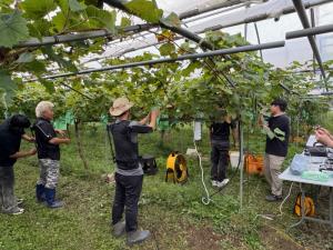 농업인 편의장비 착용형 보조장치, 생체역학적 현장평가 실시