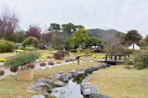 가을 끝자락에서 만나는 국화의 향연 군민과 함께하는 청양국화전시회 개최