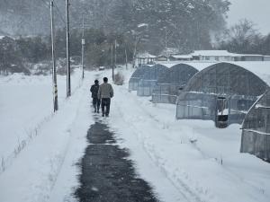 청양군, “겨울철 대설·한파, 10분 사전 점검이 하우스를 지킵니다”