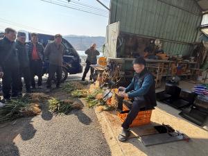 청양 맥문동연구회, 수확 전 작황 점검 및 노동력 절감 수확 도구 시연