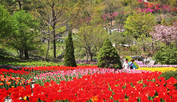 Goun Botanical Garden photo