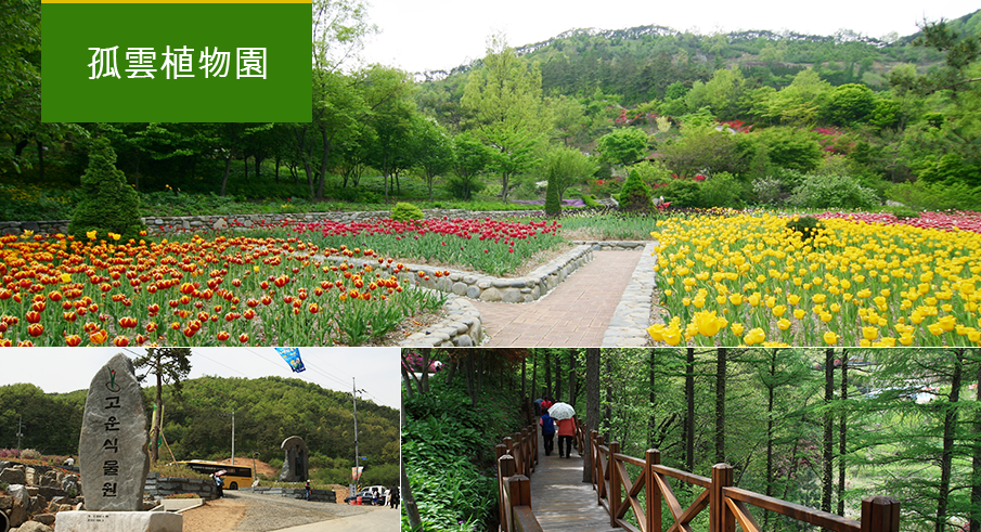 孤雲植物園