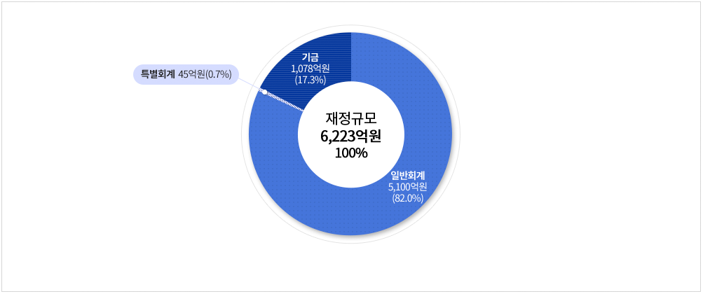 재정규모 6,223억원 - 일반회계 5,100억원(82.0%) 기금 1,078억원(17.3%) 특별회계 45억원(0.7%)