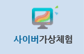 사이버가상체험