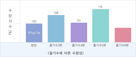 줄기수에 따른 수량성을 나타내는 그래프로 방임-수량지수100, 중기수3본-수량지수108, 줄기수4본-수량지수101, 줄기수5본-수량지수116, 줄기수6본-수량지수를 나타낸 내용입니다. 