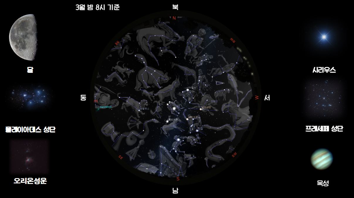 3월 밤 8시 기준