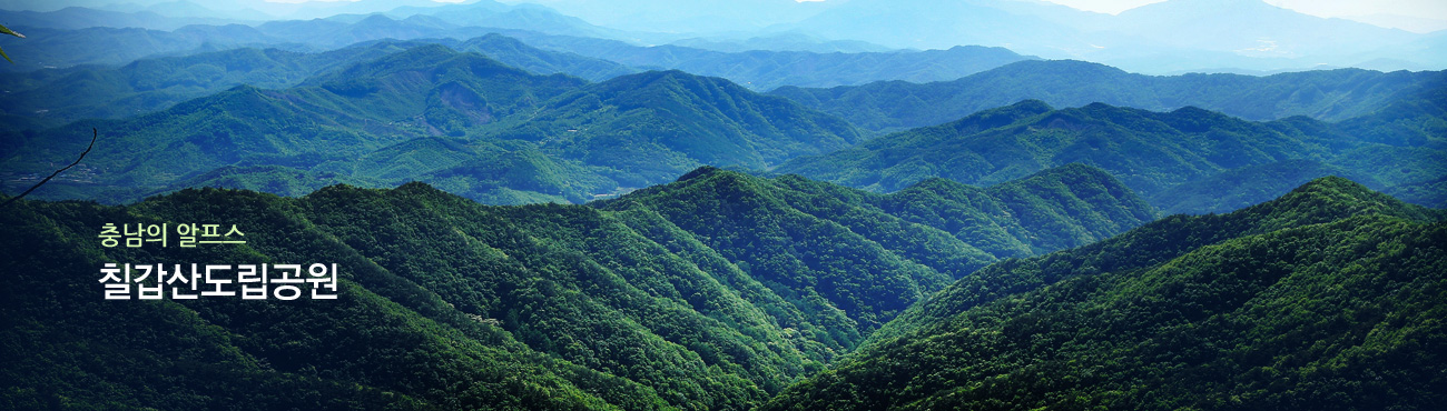 칠갑산도립공원