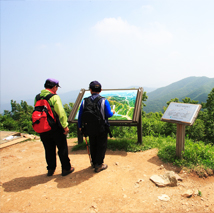 하늘에서 본 천장호 3