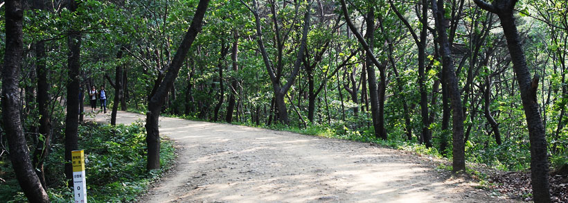 칠갑산 산행 길