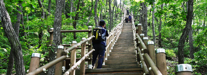 산정 부근의 가파른 계단