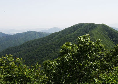 칠갑산정상에서 바라 본 전경 2