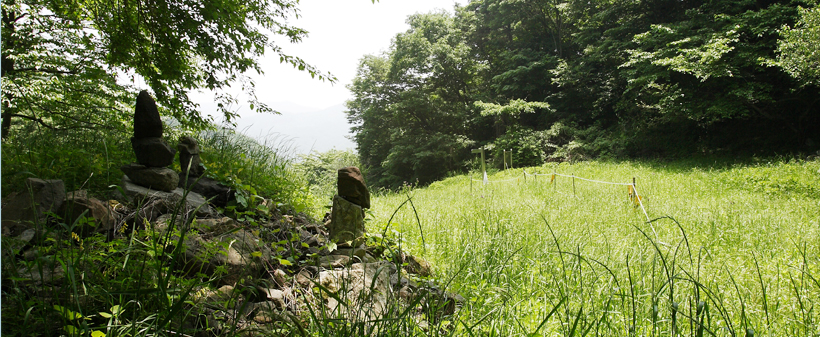 도림로 등산정상