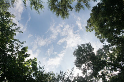 비 내린후 예쁜 하늘과 청초록의 나무들